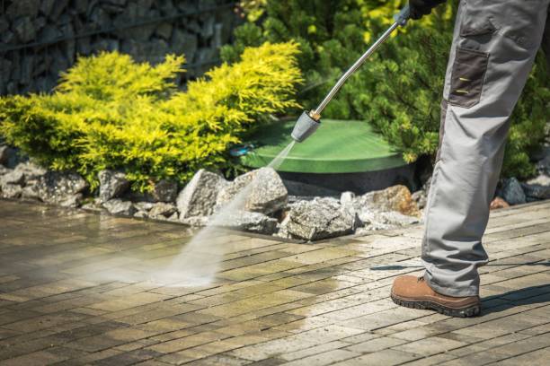 Best Winterizing Services  in Somerset, WI